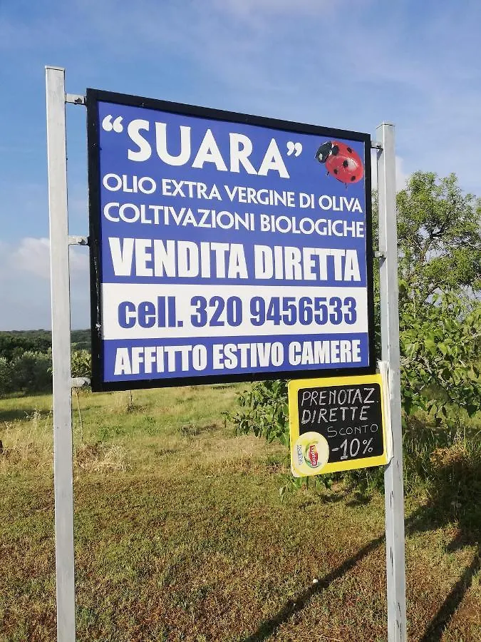 Suara Affitti - Bike Apartment Bibbona 0*,  Italy