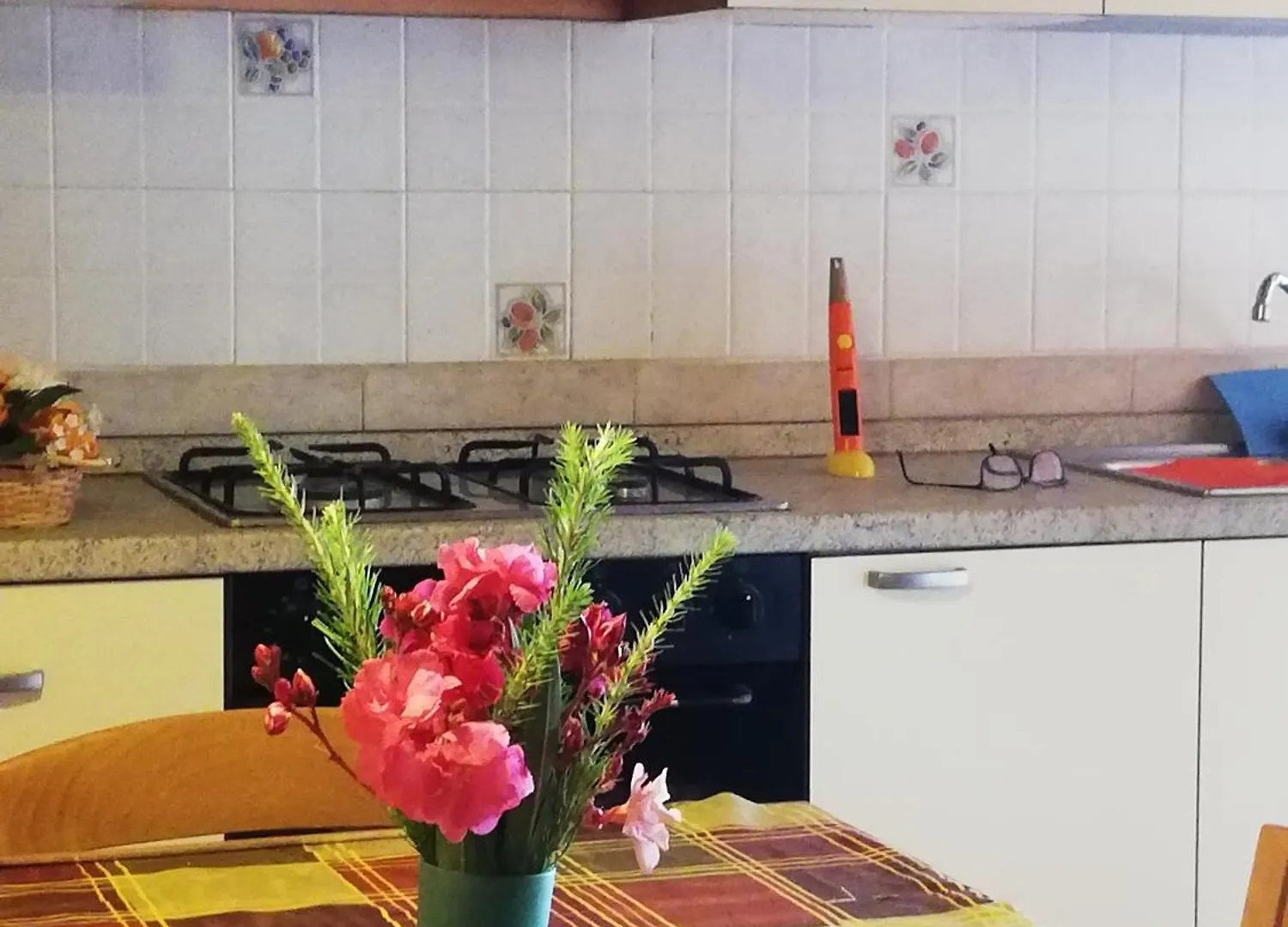 Suara Affitti - Bike Apartment Bibbona Italy